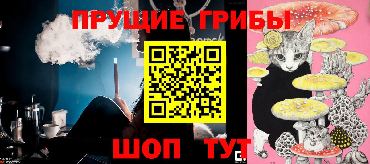 Псилоцибиновые грибы мицелий  Вход с VPN  что такое наркотик  Псилоцибиновые грибы Psilocybe  Гудермес 
